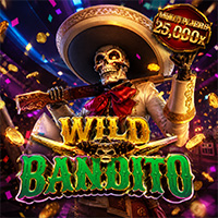 Wild Bandito